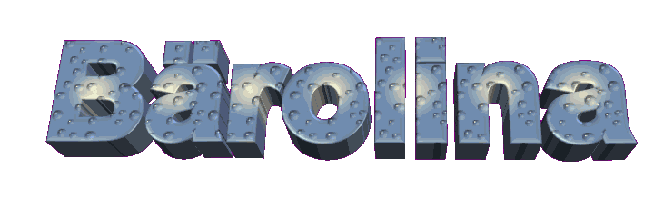 b&auml;ro.gif (158134 Byte)